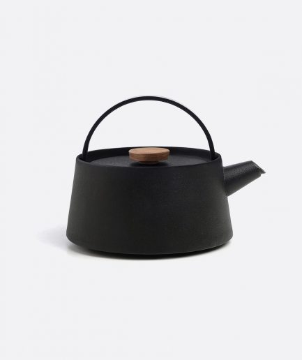 Iron kettle nambu tekki