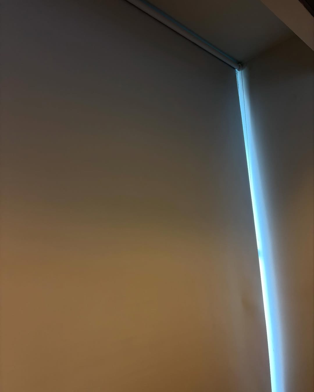 songulperde__20250213_p_3567006071319012720_2_3567006051656252962