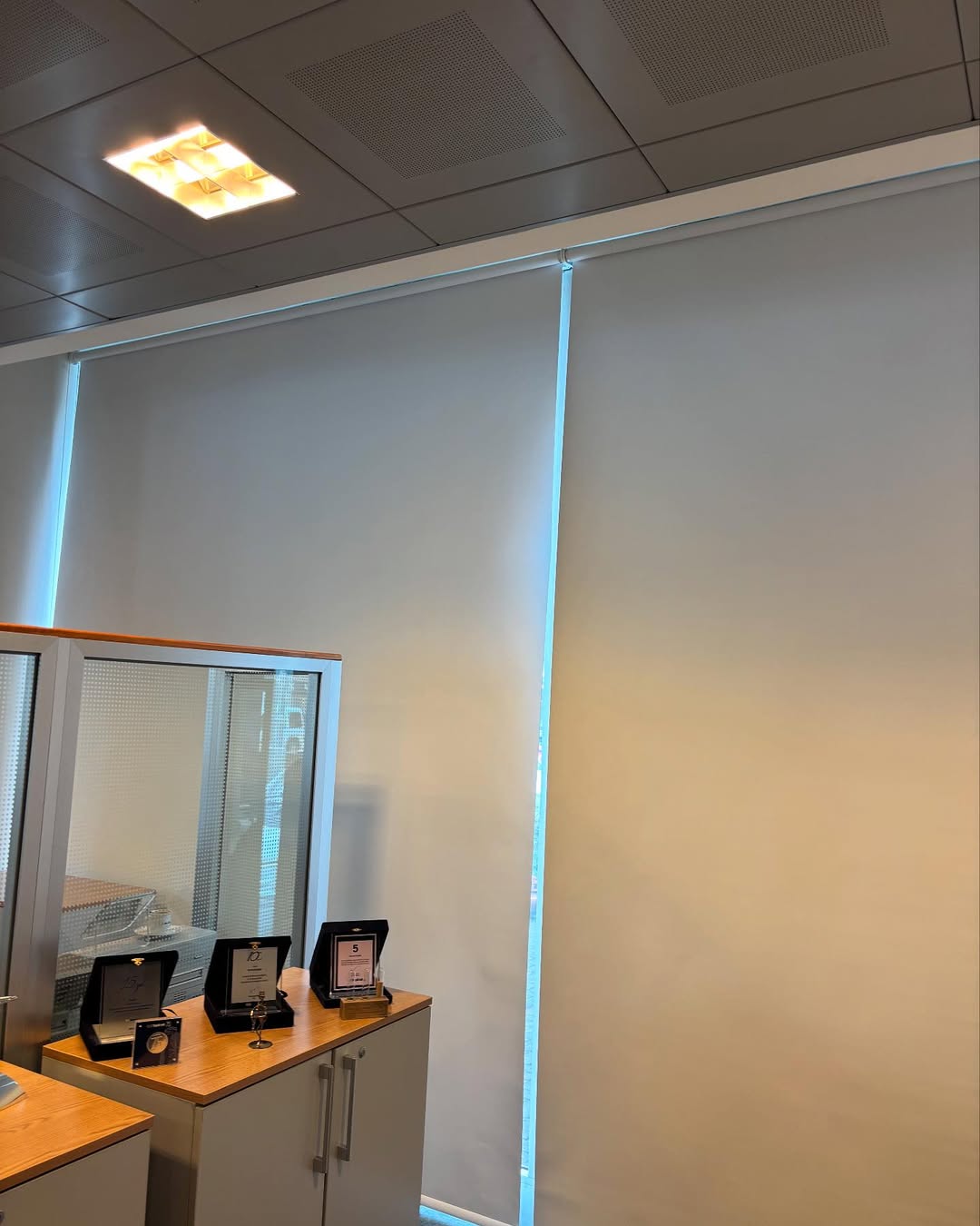 songulperde__20250213_p_3567006071319012720_3_3567006051647749793